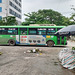 Bus et parasols avec une touche de vert