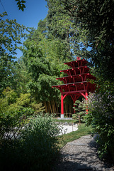 im Botanischen Garten von Genf (© Buelipix)