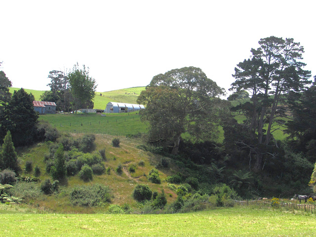 Ups And Downs Of Farm Life.