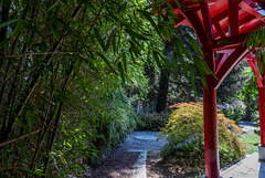 im Botanischen Garten von Genf (© Buelipix)