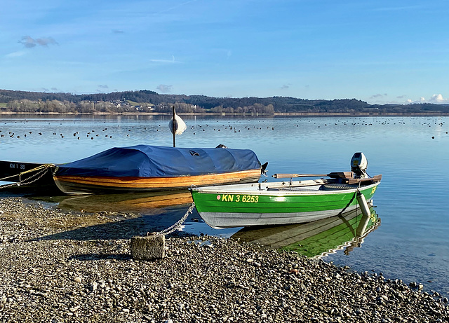 Winterzeit am Bodensee