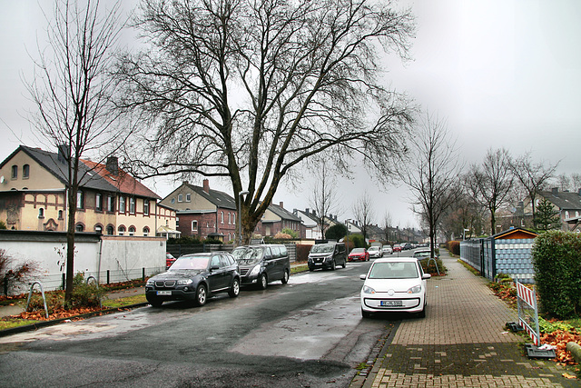 Hüserstraße (Dreieck-Siedlung Hochlarmark, Recklinghausen) / 11.12.2021