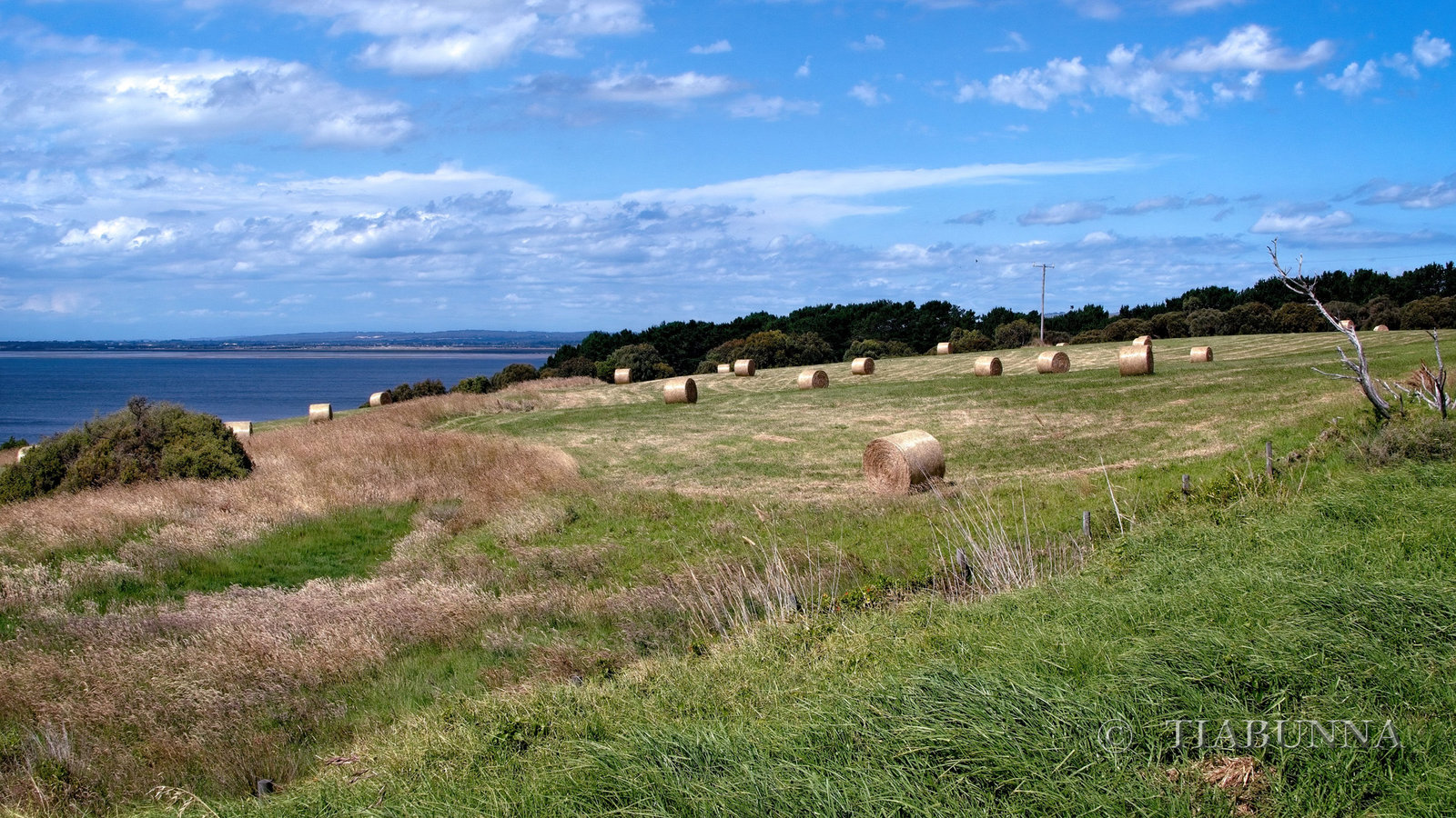 Hay bales