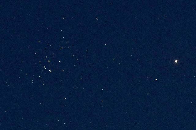 Mars und M 44 Mars und M 44