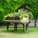 Natur und Musik