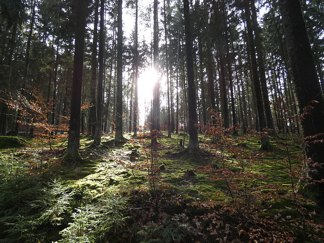 mystisch
