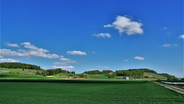 Benken ZH / Sicht auf den Hammeberg Rudolfingen