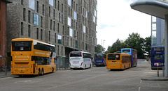 Norwich bus station - 26 Jul 2024 (P1180911)