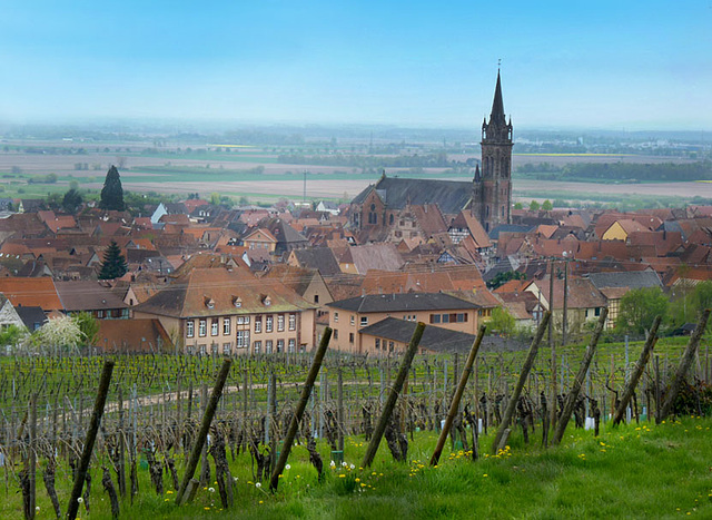 Sur la route des vins