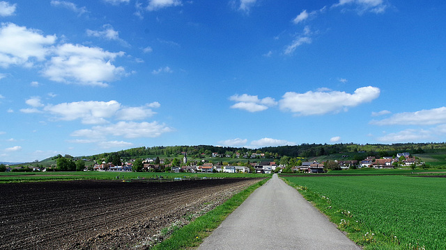 Benken ZH / Vom Riet, sicht auf den Kohlfirst