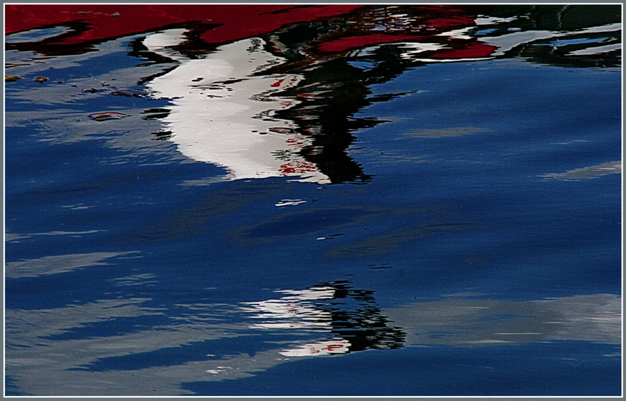 .. oiseaux de mer ...!