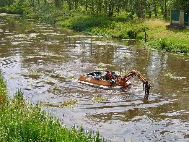 Cleaning weed from the River Sow, view from Milford road bridge