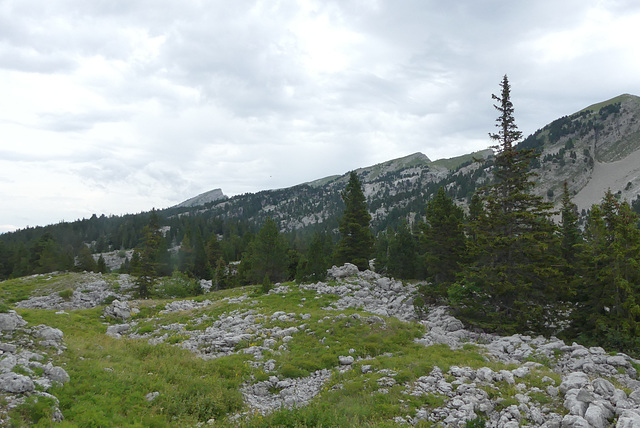 20170718 -23 Randos St Agnan en Vercors (188) al