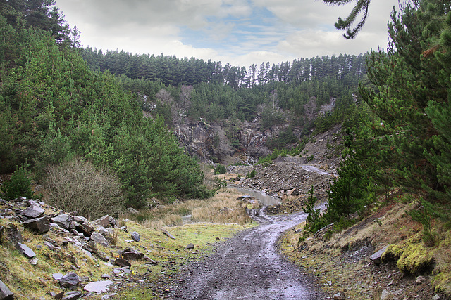 Old Quarry