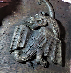 boston church,lincs (108)c14 misericord dragon