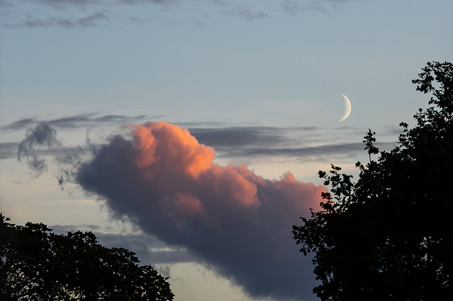 Left section sunset and Moon