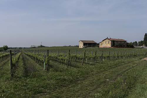 Passirano-11