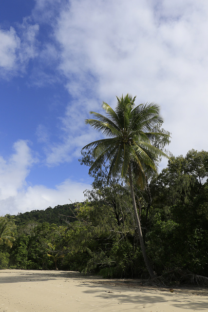 Tropical Beach