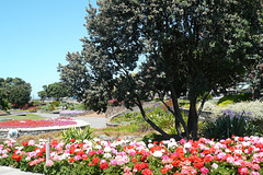 Marine Parade Gardens