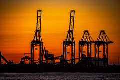 Container port cranes before dawn