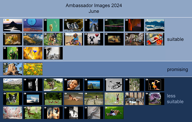 Ambassador Images 2024, June