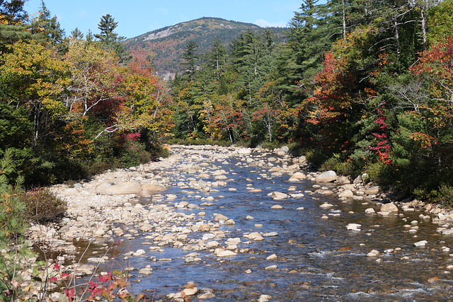 Pemigewasset River boulders