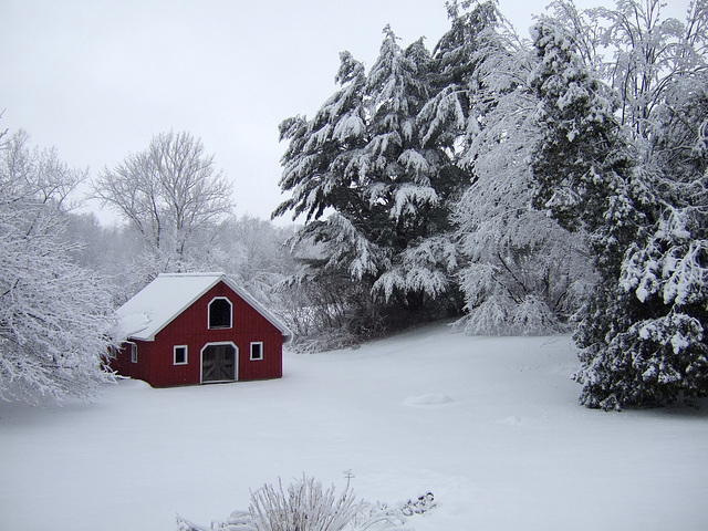 December Snowstorm #1