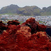 Vestmannaeyjar red rocks