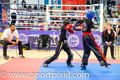 oBp19-1003 oBp19-1003