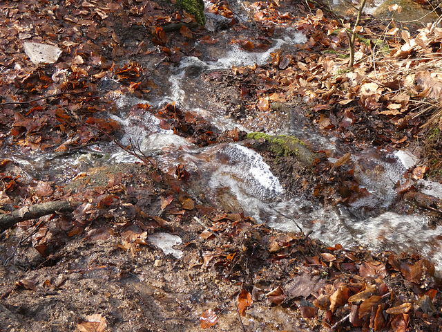 Waserlauf