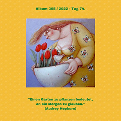 Album 365 / 2022 - Tag 74.