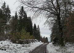 Im Deister beim Nordmannsturm