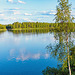 Am Muonioälven