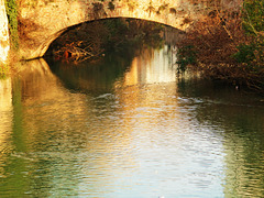 Appuntamento con l'Autunno al Ponte Paleocapa