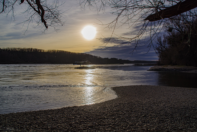 An der "schönen blauen Donau"