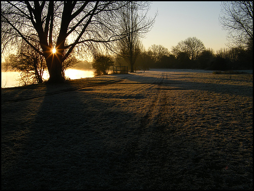 winter morning sun