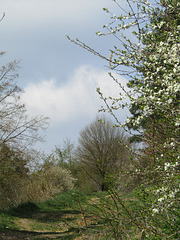 Münchshofener Berg - Start