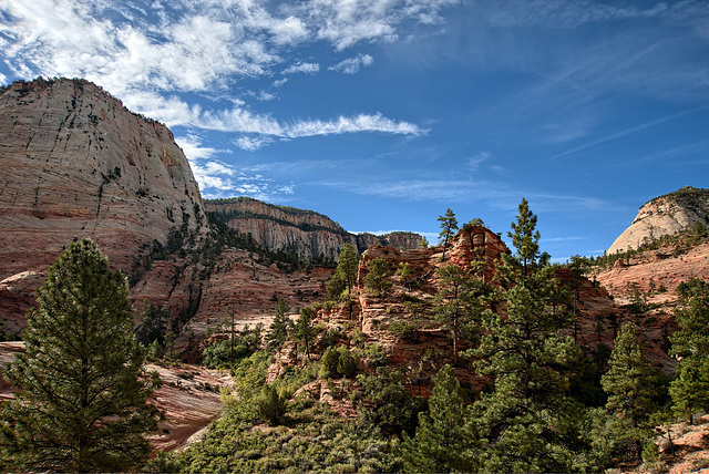 Zion F612521_2