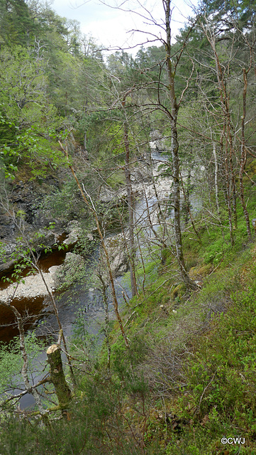 Views along the edge of the River Findhorn from the Sluie Walks' Loops on the Earl of Moray's Estate.