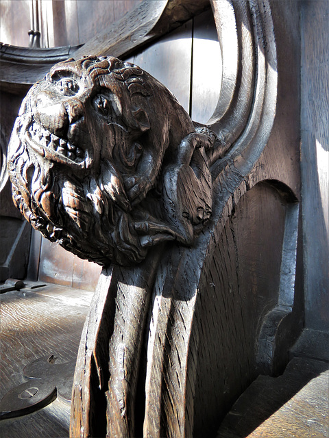 boston church,lincs (112)c14 stalls elbow lion