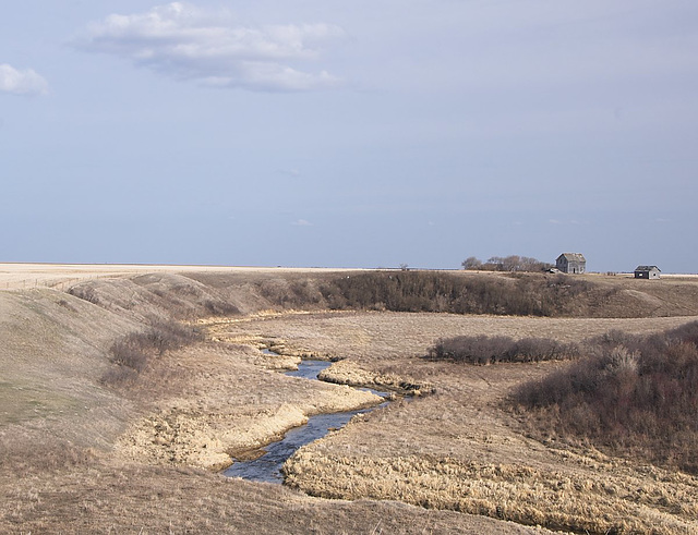 coulee and homestead-late April