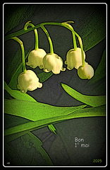Muguet commun (Convallaria majalis)
