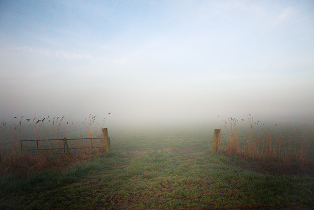 Fence