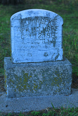 GM3A0856A