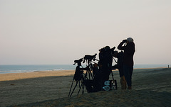 Watching the Birds...