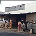 Road side cow shed