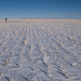 snow and stubble