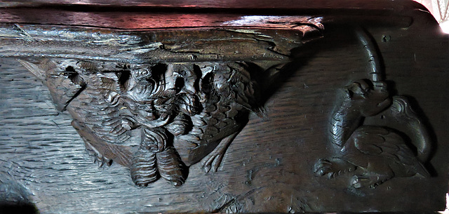 boston church,lincs (114)c14 misericord