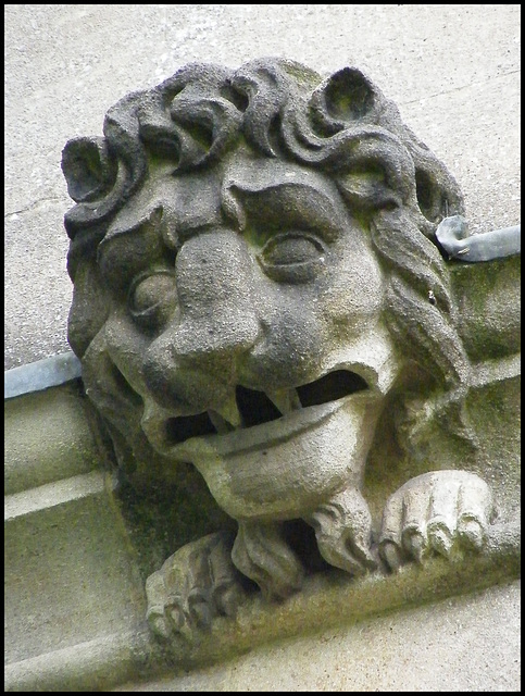 grotesque lion