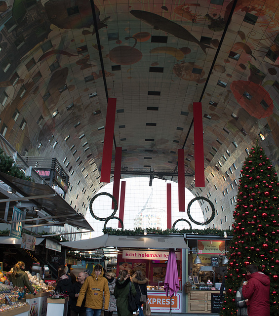 Rotterdam Markthal (#0224)